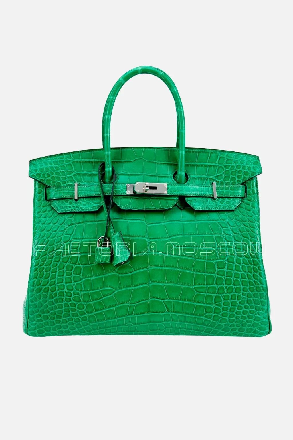 Hermes Birkin 35 Alligator Matte Colour Cactus PHW