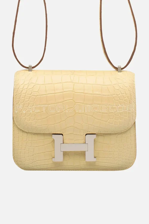 Hermes Mini Constance 18