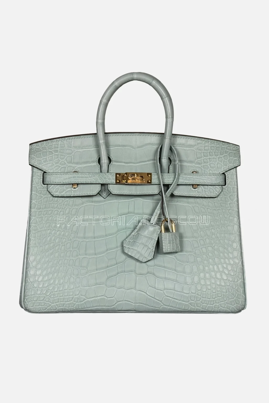 Hermès Birkin 25 Alligator Matte Colour Vert D'Eau Hardware GHW