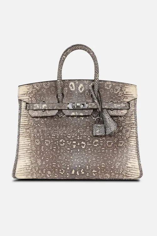 Birkin 25