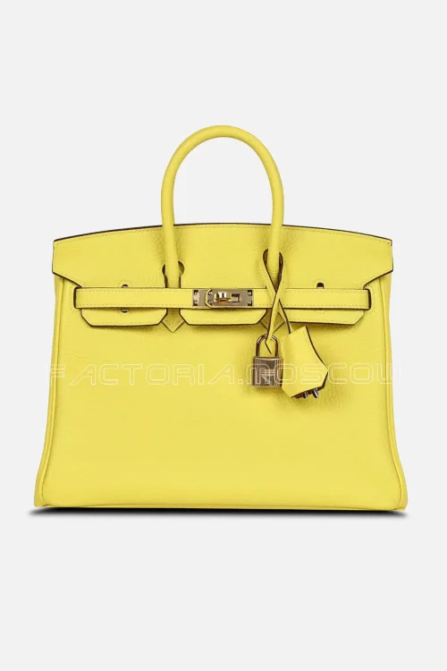 Special Order (HSS) Birkin 25