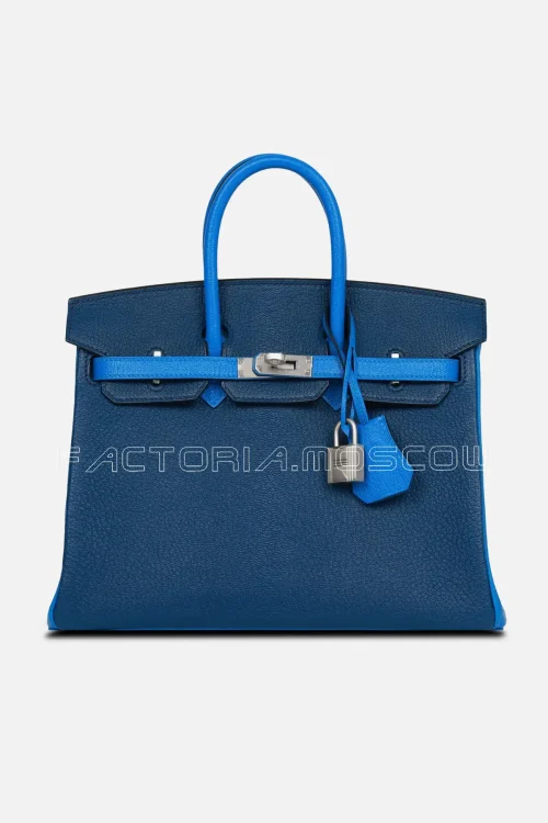 Special Order (HSS) Birkin 25