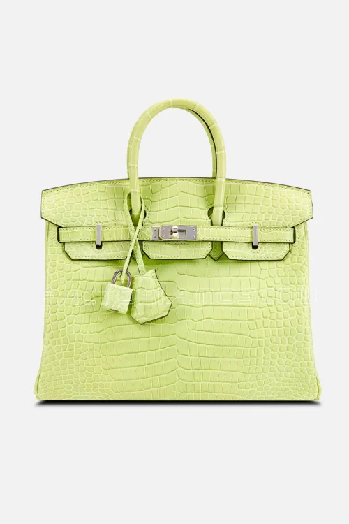 Birkin 25