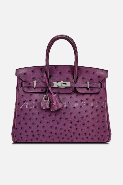 Violet and Vert Anis Verso HSS Birkin 25