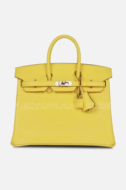 Birkin 25