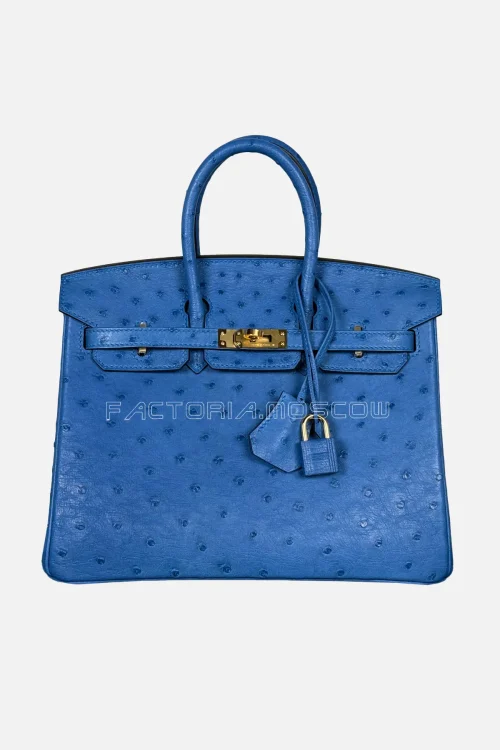 Hermes Birkin 25 Ostrich Colour Blue Zellige Hardware GHW