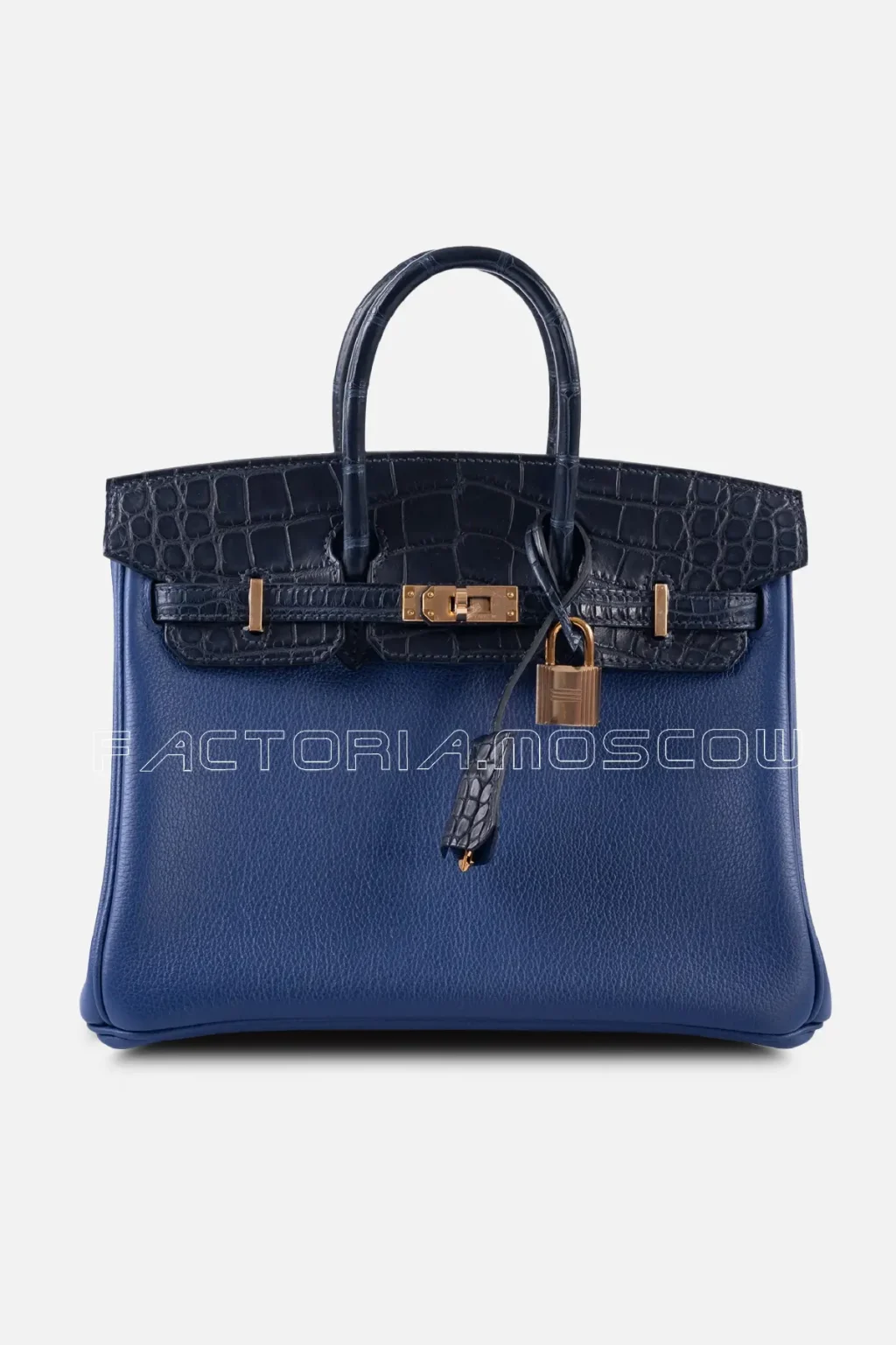 Birkin Touch 25