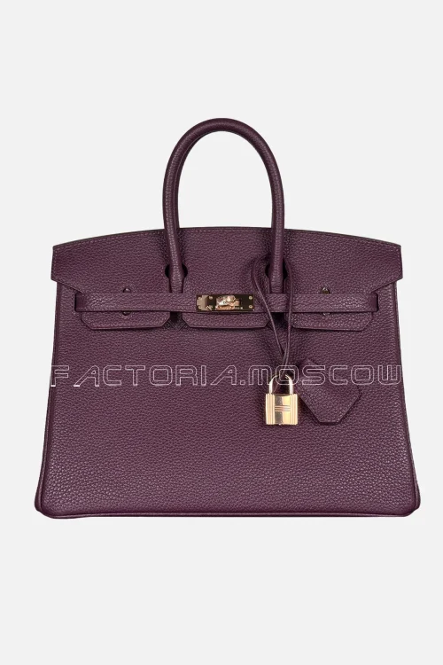 Hermès Birkin 25 Togo Colour Cassis Hardware Rghw