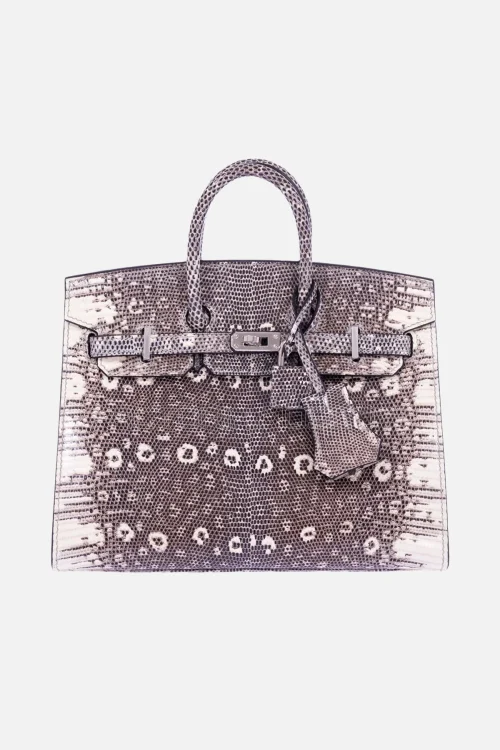 Hermès Birkin 20 Sellier Ombre Varanus Salvator Lizard PHW
