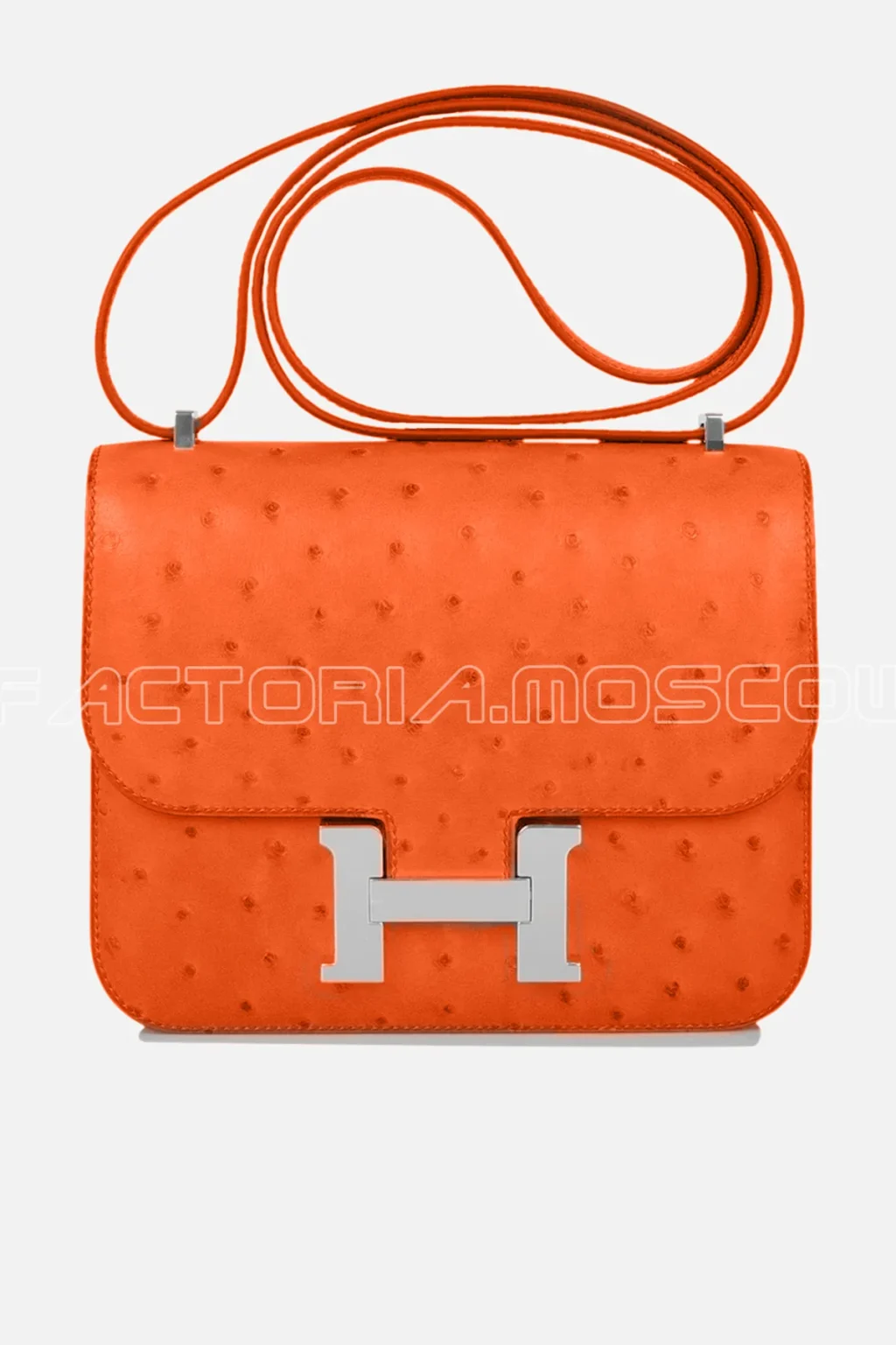 Constance 24