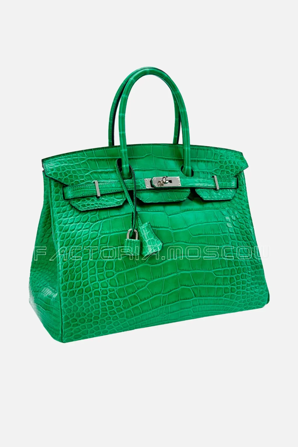 Hermes Birkin 35 Alligator Matte Colour Cactus PHW