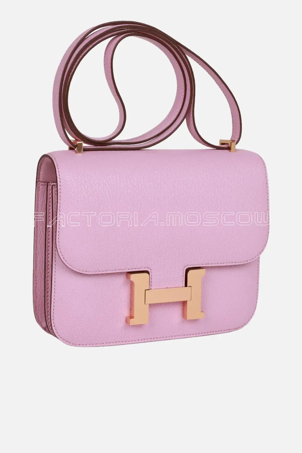 Mauve Sylvestre