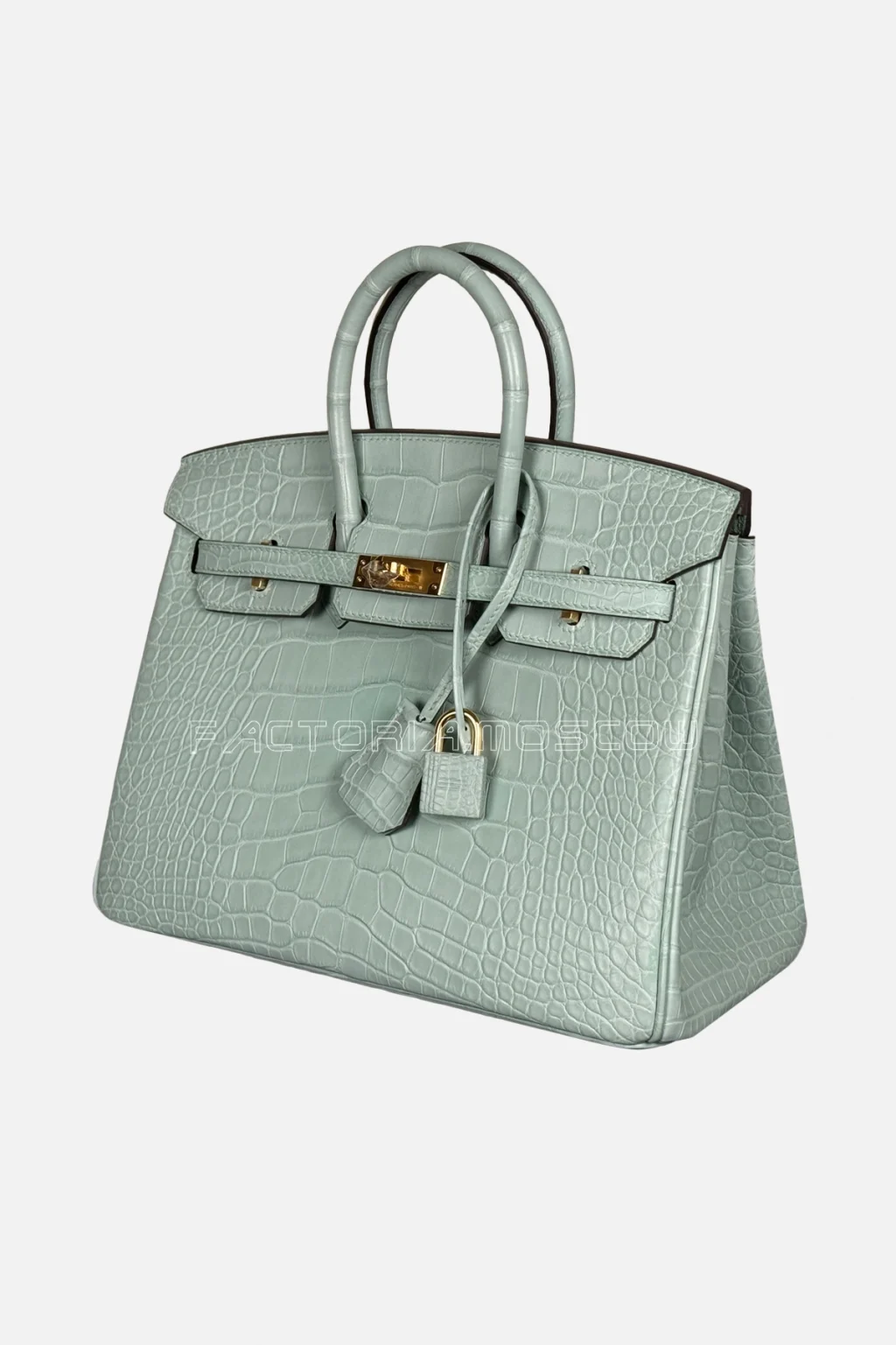 Hermès Birkin 25 Alligator Matte Colour Vert D'Eau Hardware GHW