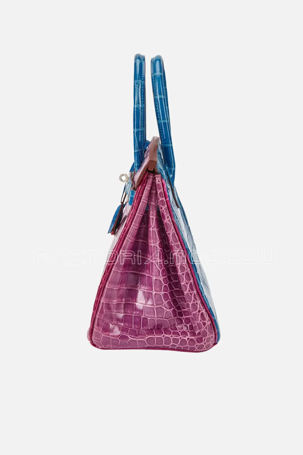 Rose Scheherazade/Bleu Roi/Violet
