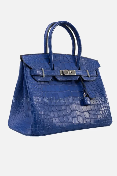 Bleu Electrique