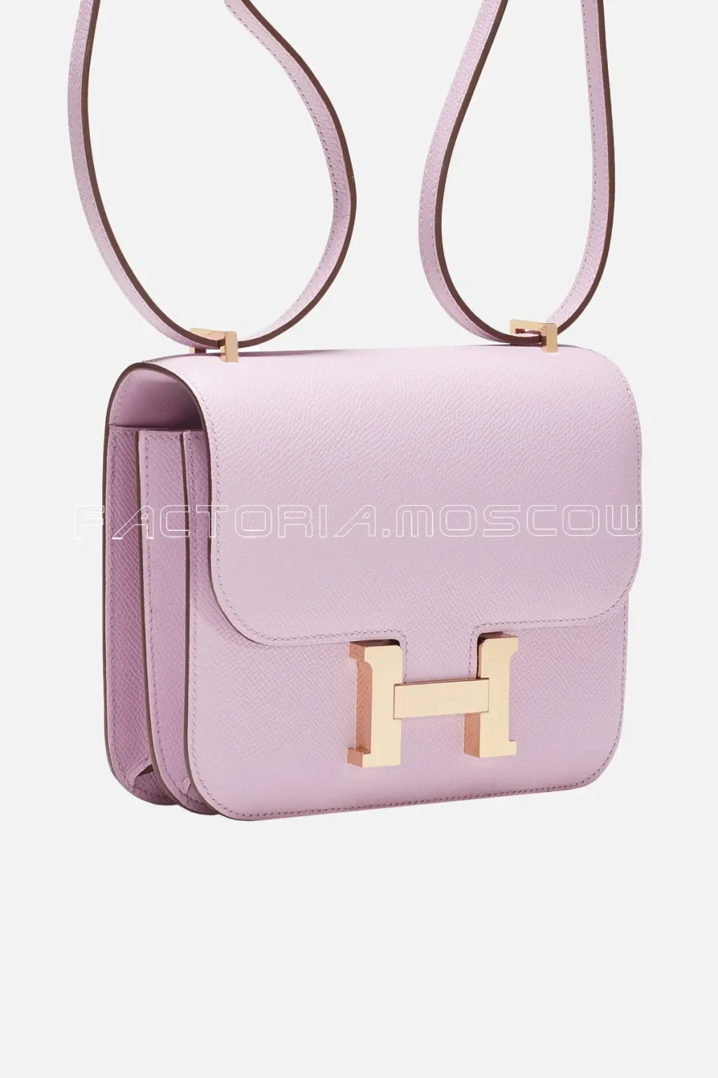 Mauve Sylvestre