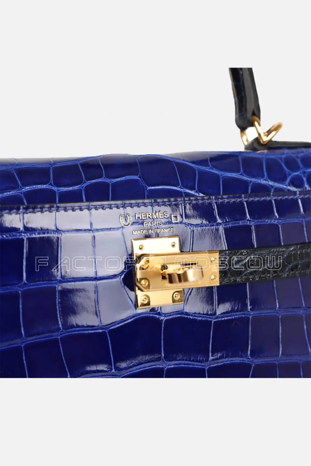 Shiny Alligator
