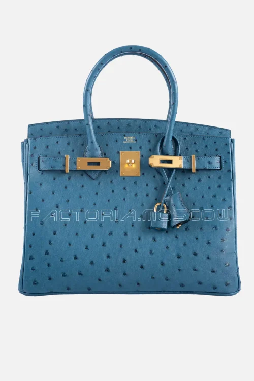 Blue Colvert