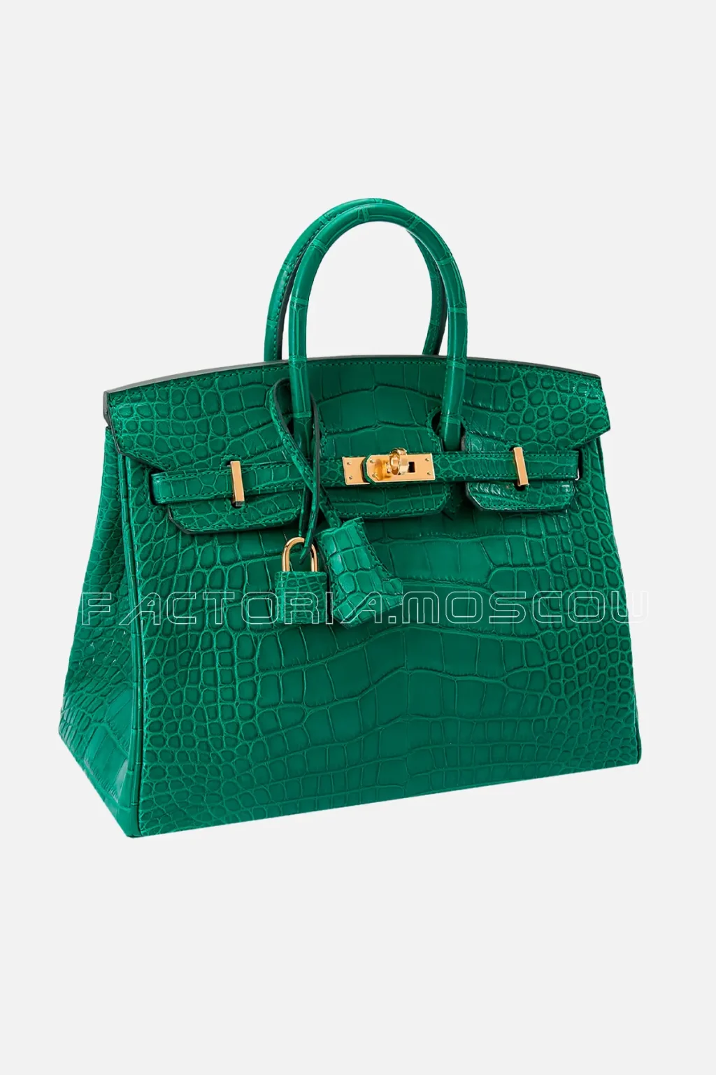 Matte Alligator