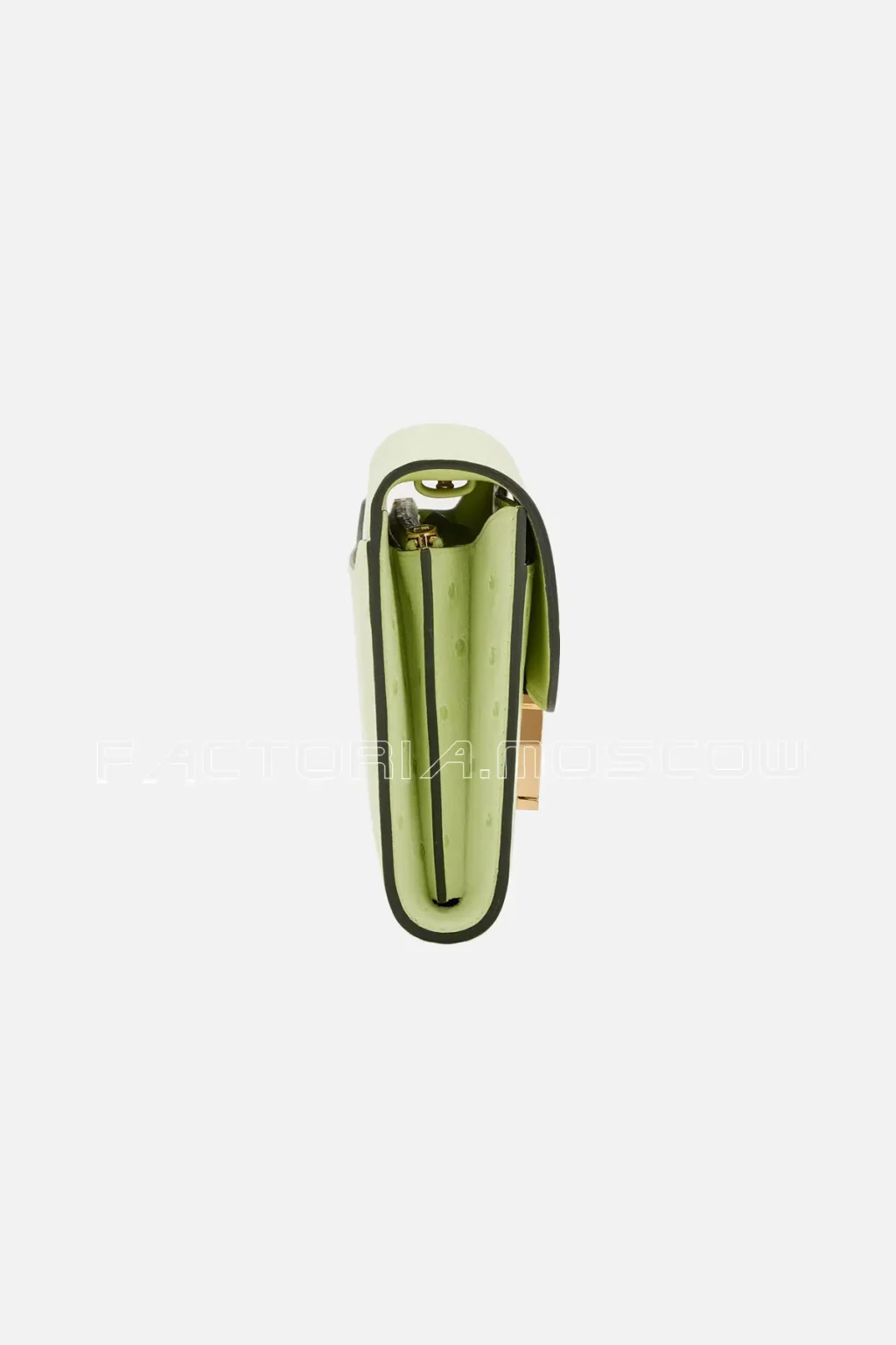 Vert Criquet