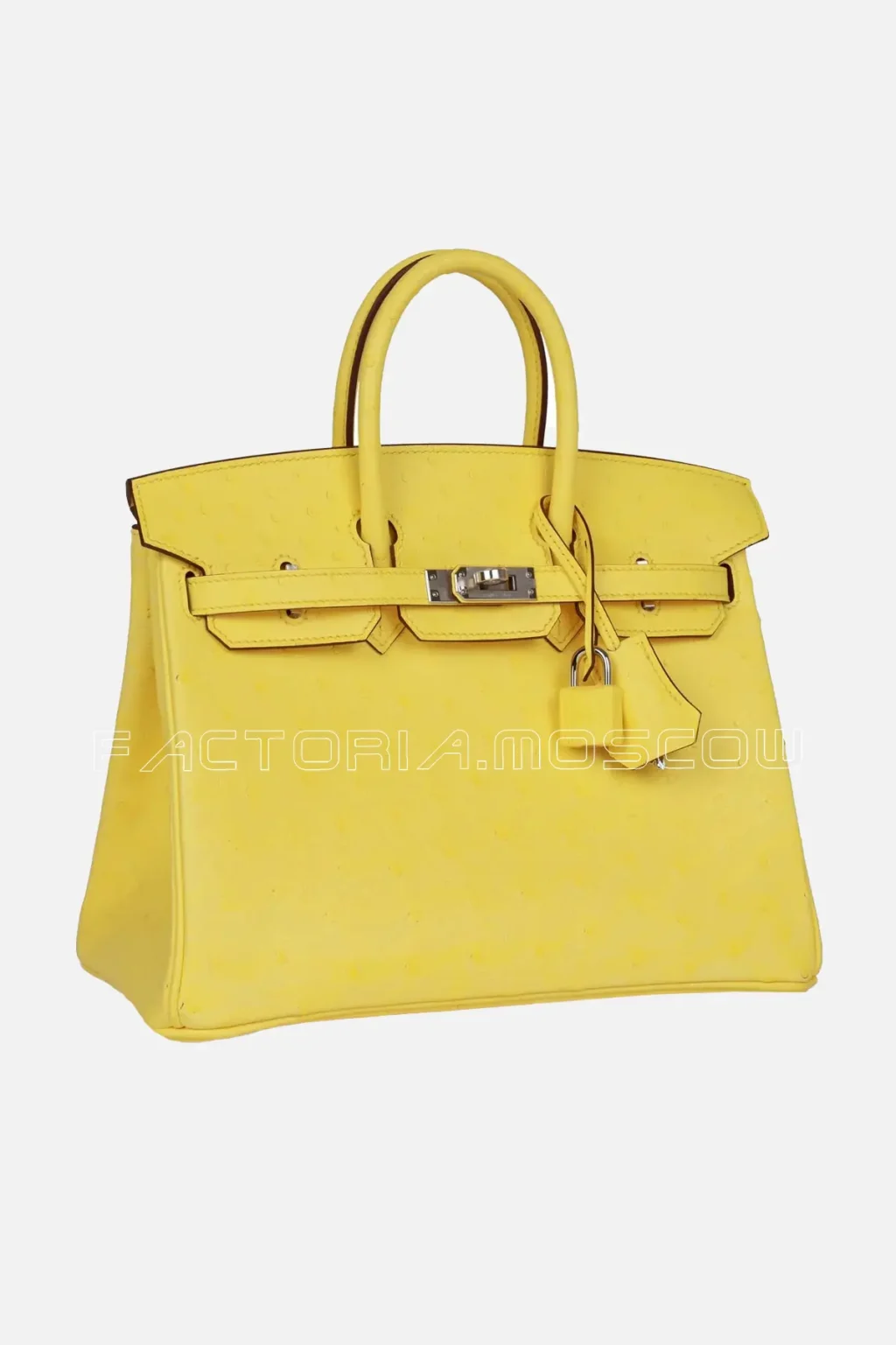 Jaune Citron