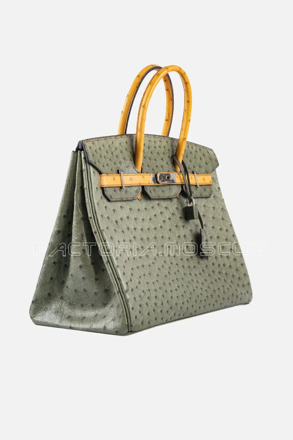 Vert Olive/Sable