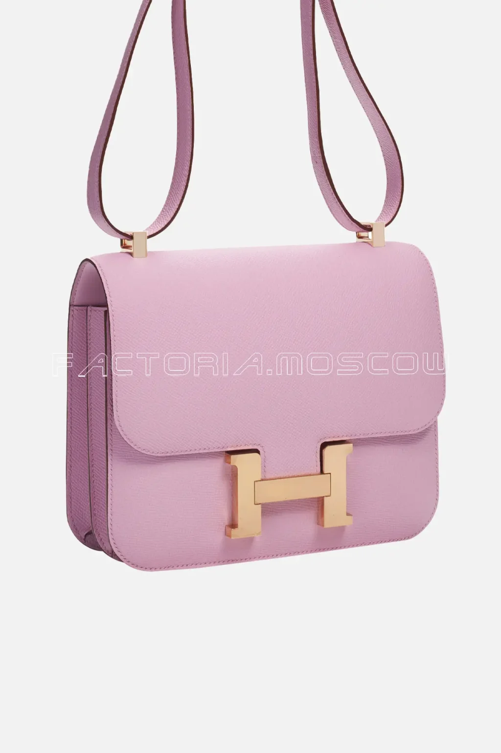 Mauve Sylvestre