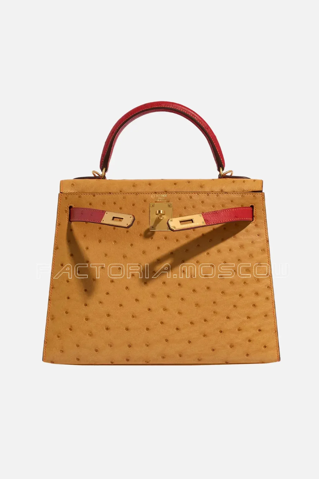 Gold/Rouge Vif