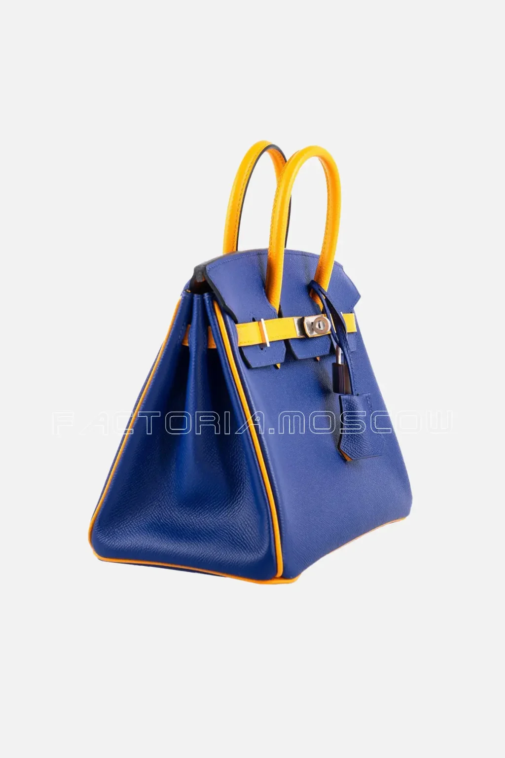JAUNE D’OR/BLUE ELECTRIC