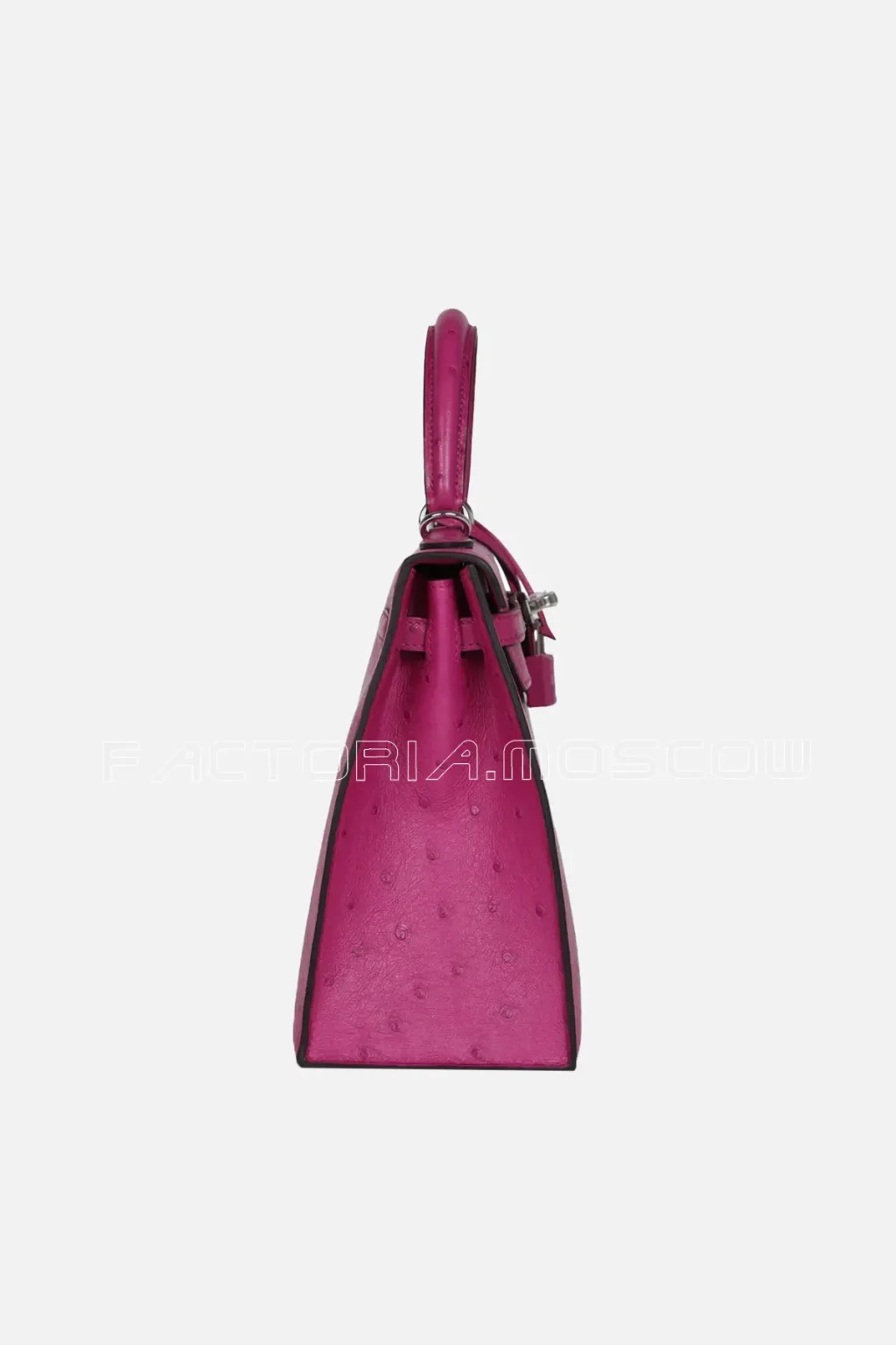 Rose Pourpre