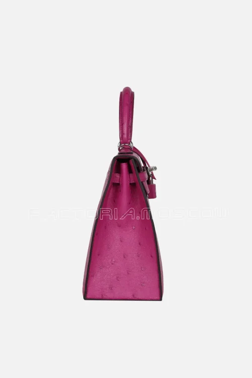 Rose Pourpre