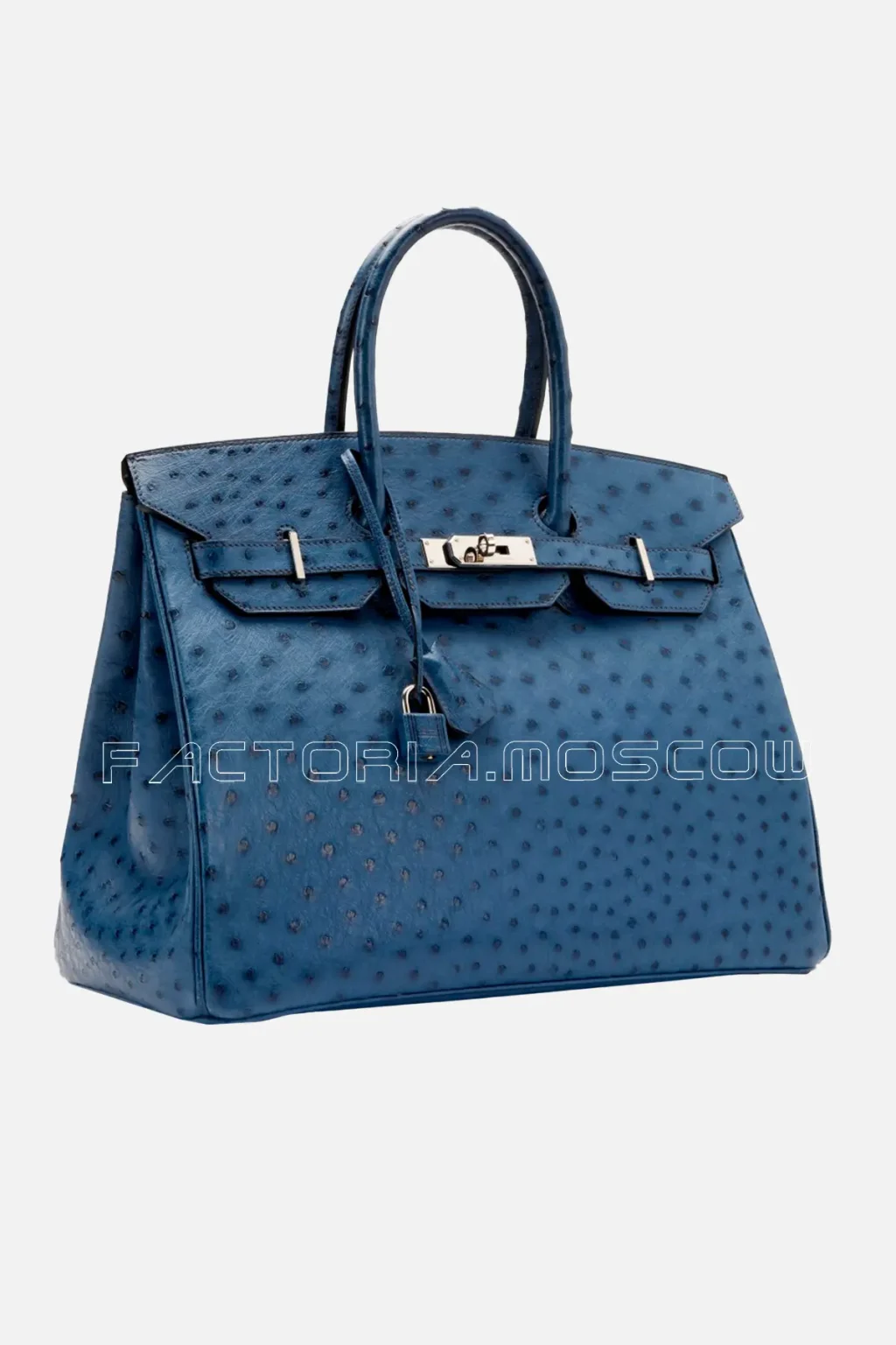 Bleu Roi