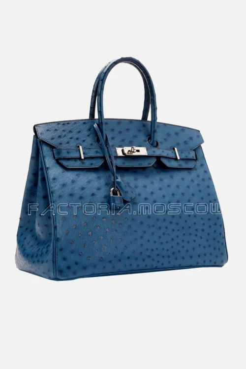 Bleu Roi
