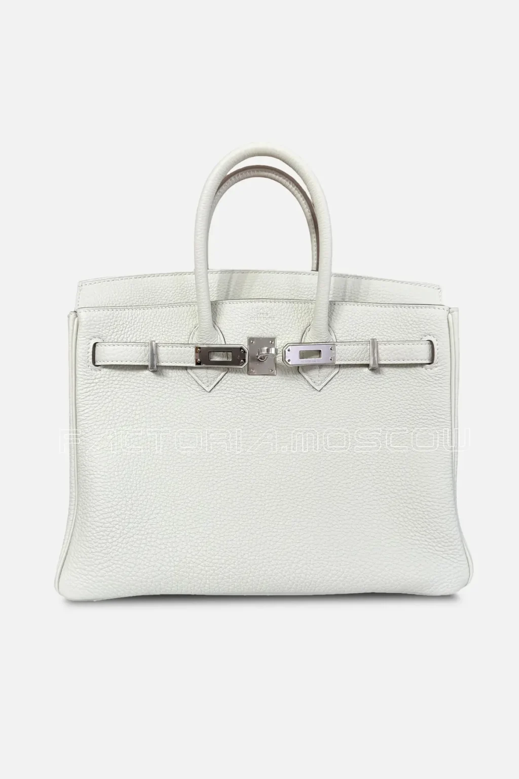 Mushroom White Gray
