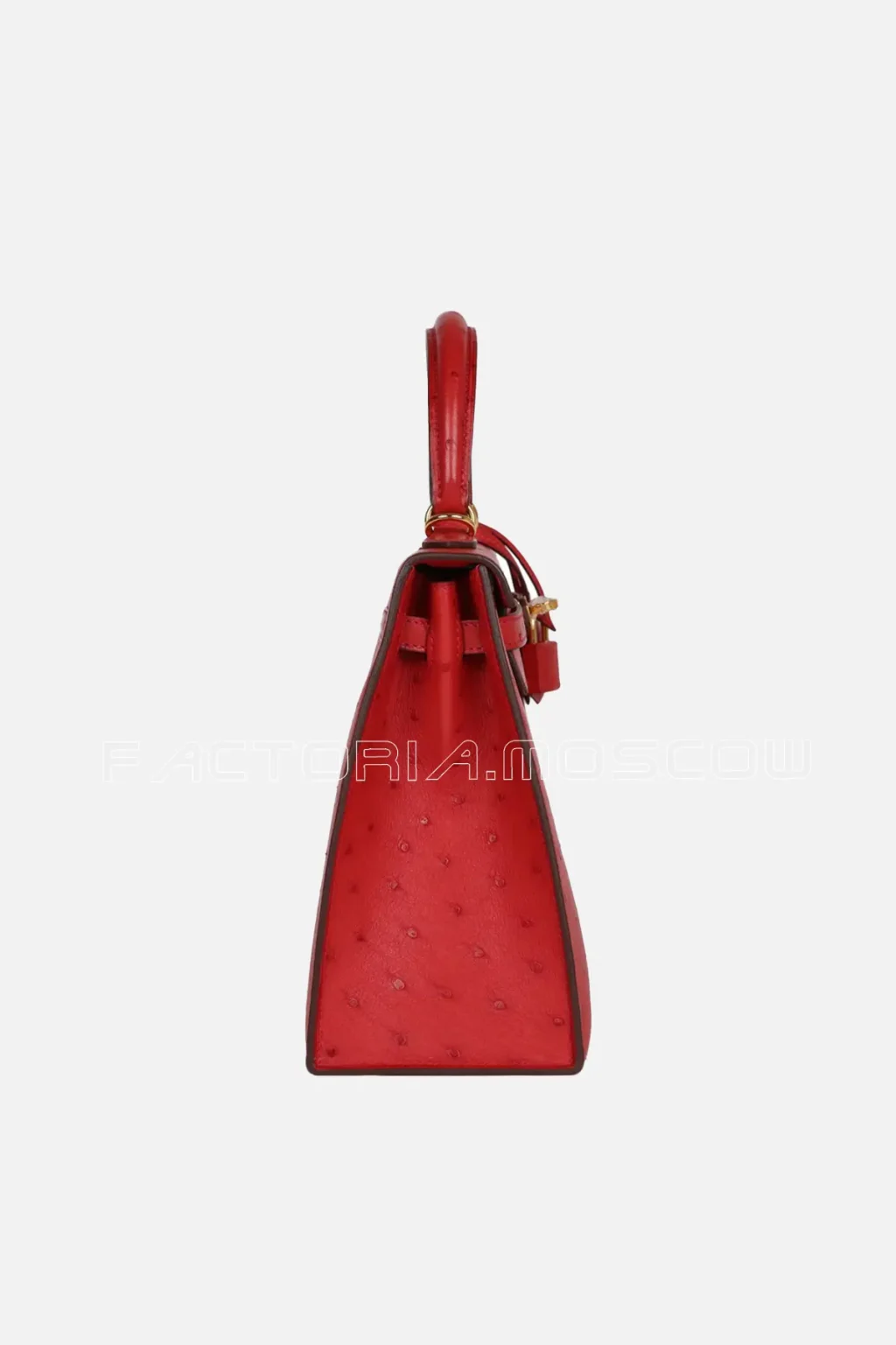 Rouge Vif