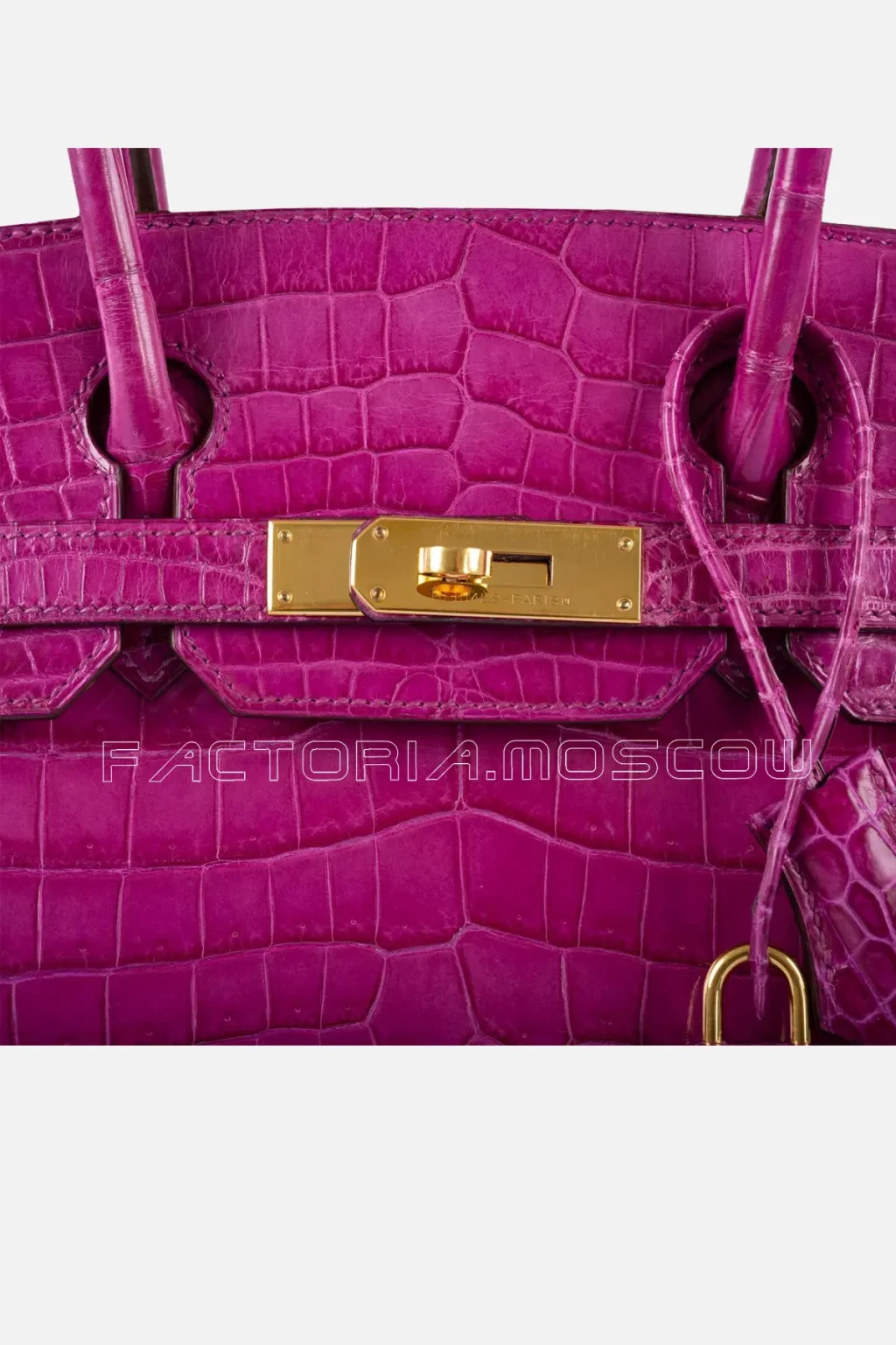 Rose Scheherazade