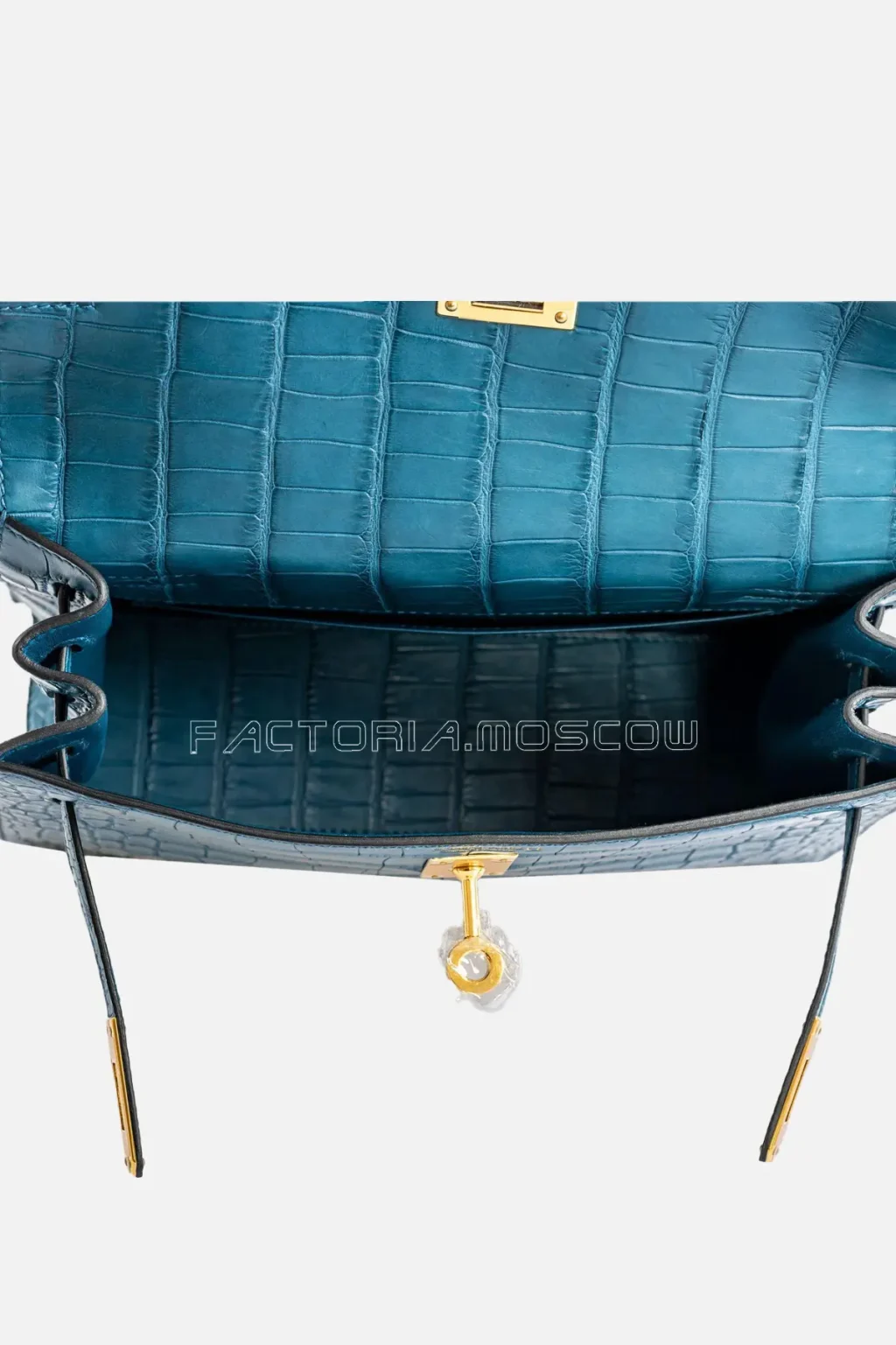 Blue Colvert