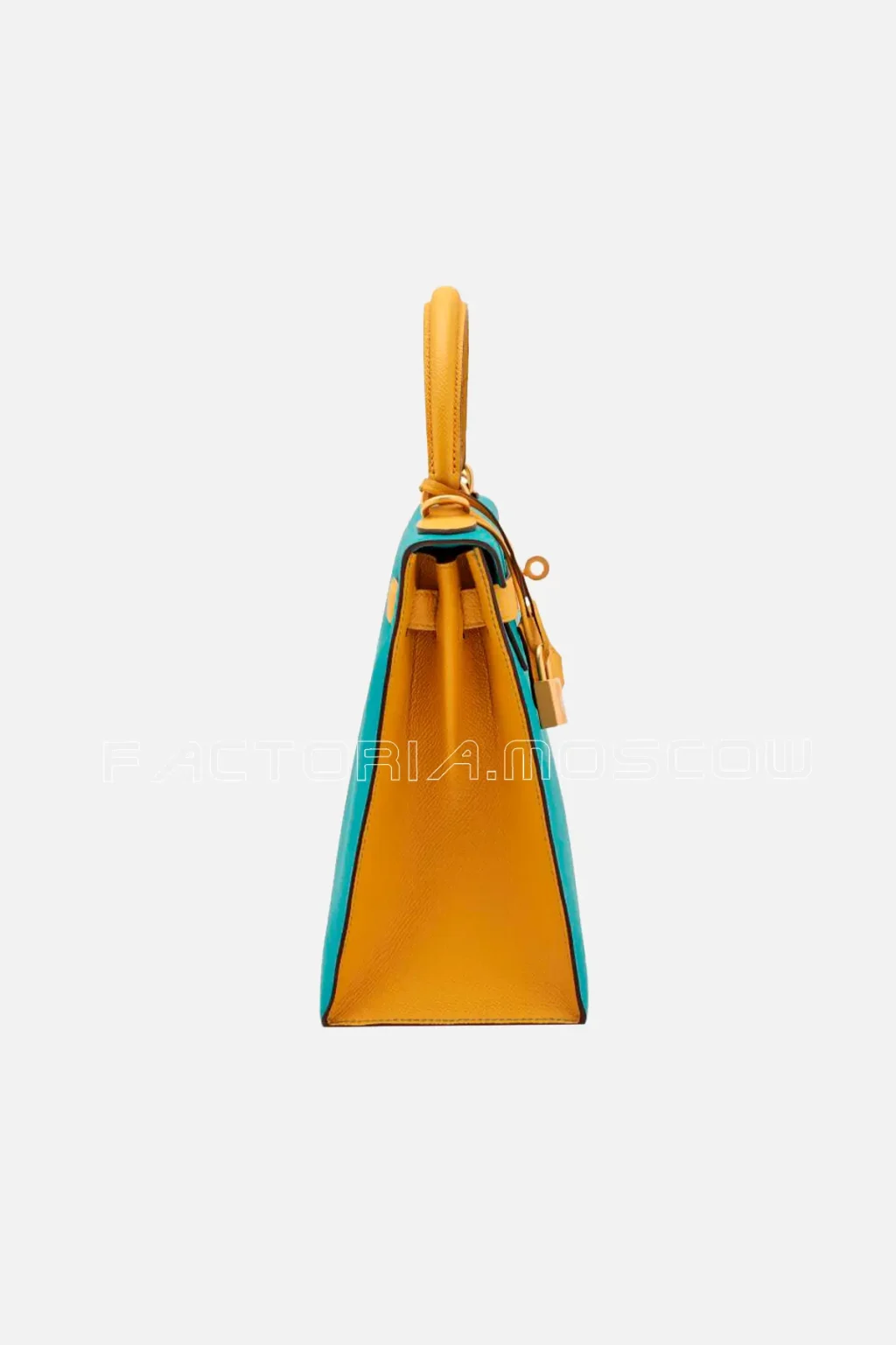 Bleu Paon/Jaune Amber