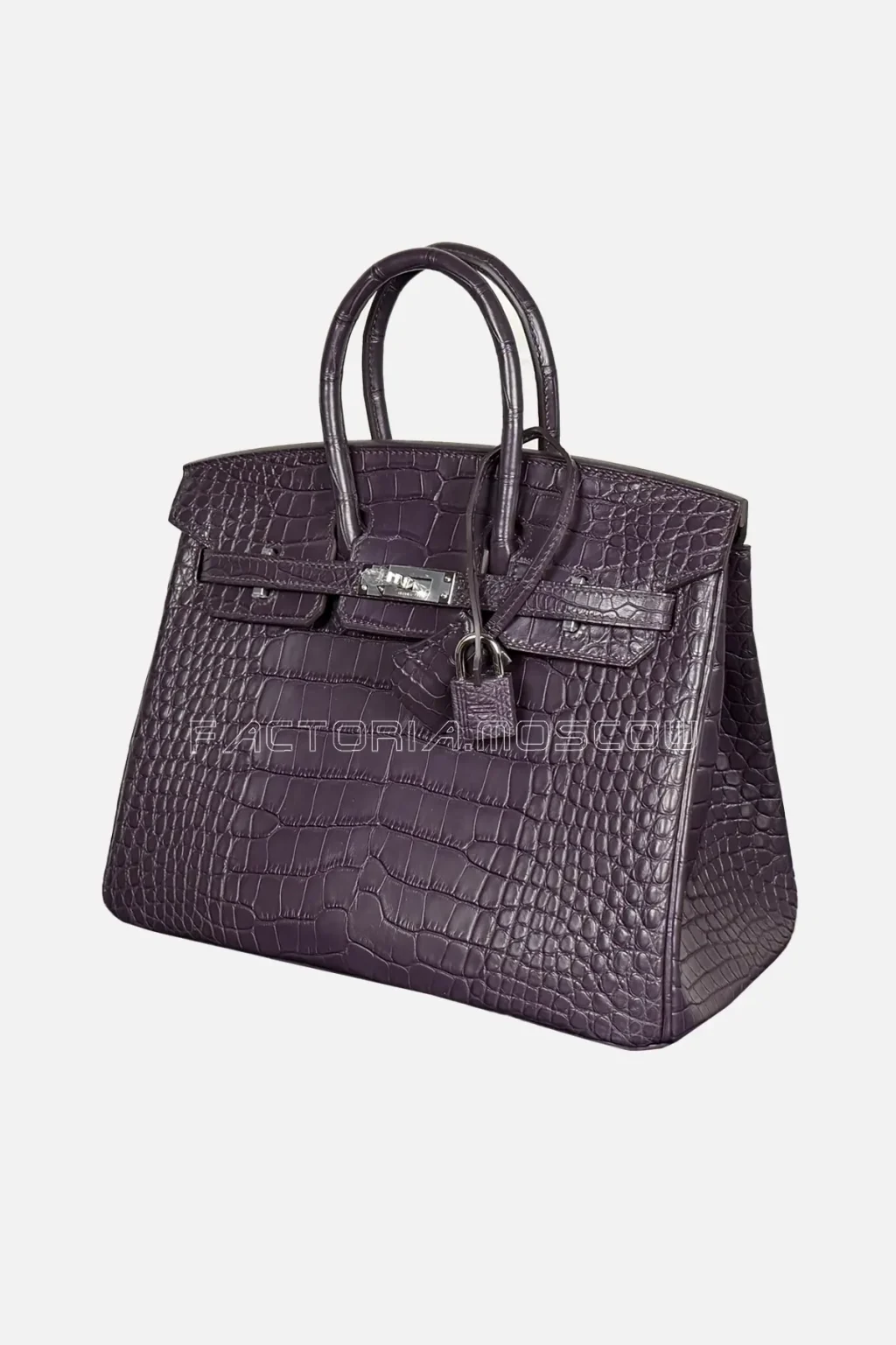 Hermes Birkin 25 Alligator Matte Colour Raisin Hardware PHW