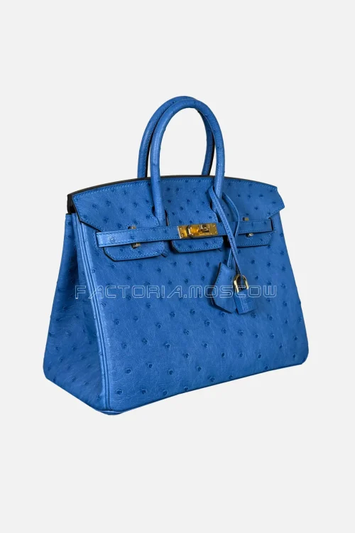 Hermes Birkin 25 Ostrich Colour Blue Zellige Hardware GHW