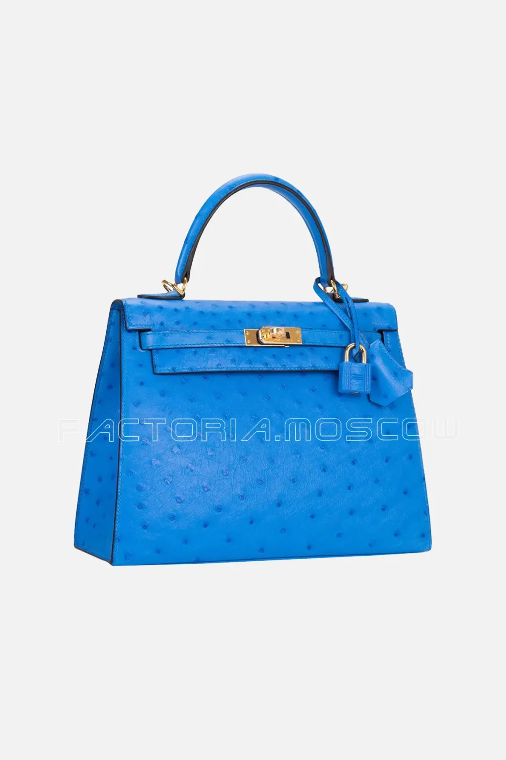 Bleuet