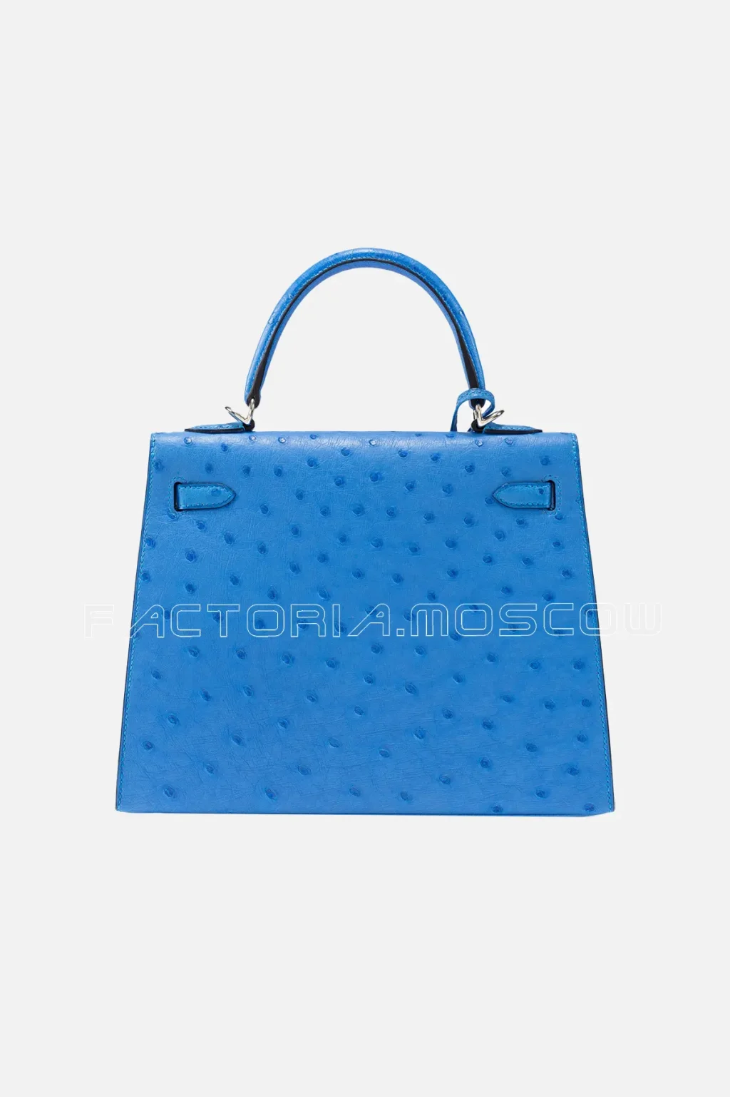 Bleuet