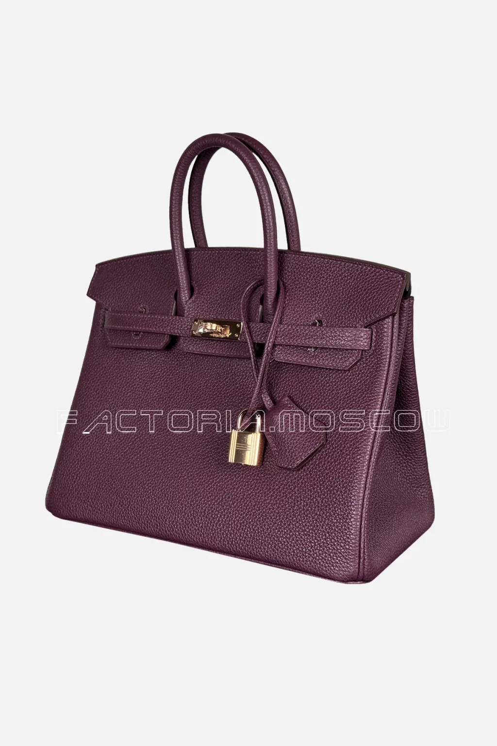 Hermès Birkin 25 Togo Colour Cassis Hardware Rghw