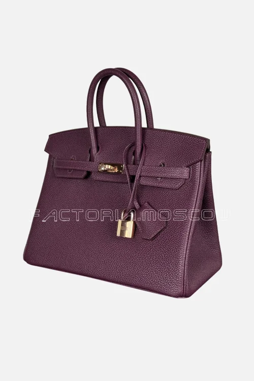 Hermès Birkin 25 Togo Colour Cassis Hardware Rghw