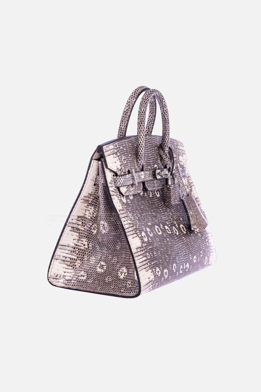 Hermès Birkin 20 Sellier Ombre Varanus Salvator Lizard PHW