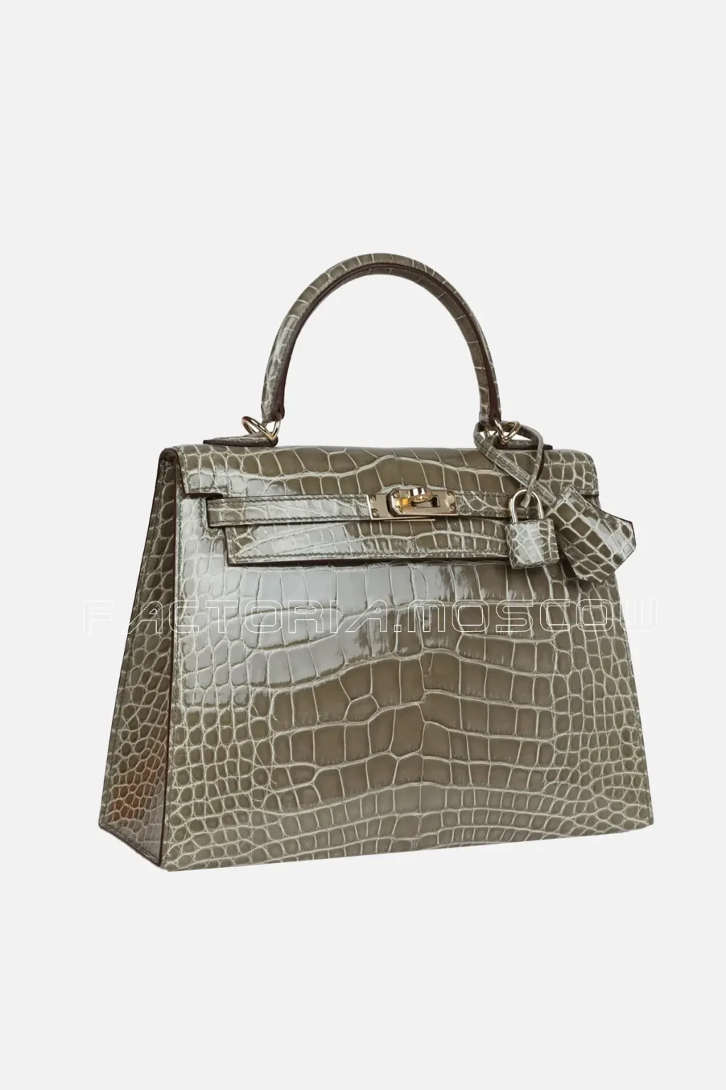 Gris Tourterelle