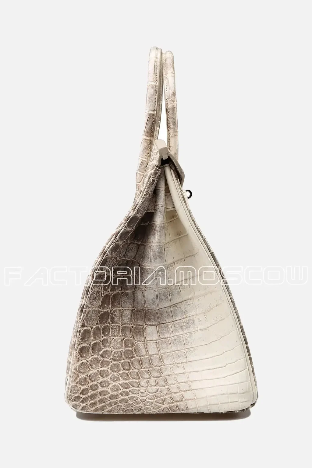 Crocodile Niloticus matte