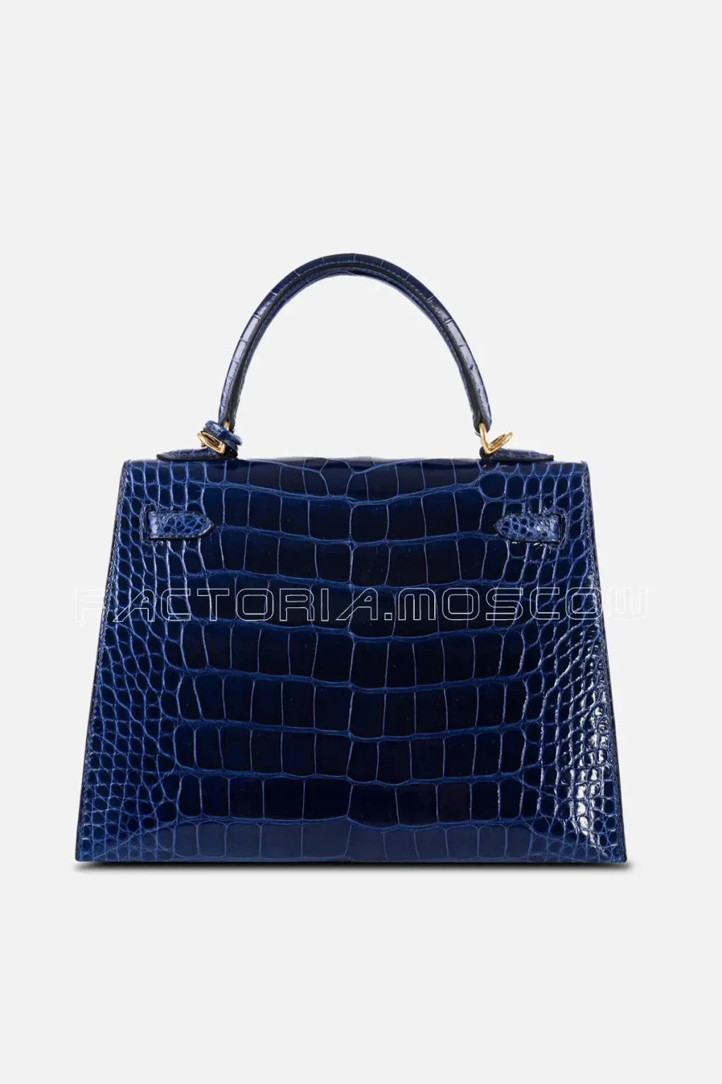 Shiny Alligator