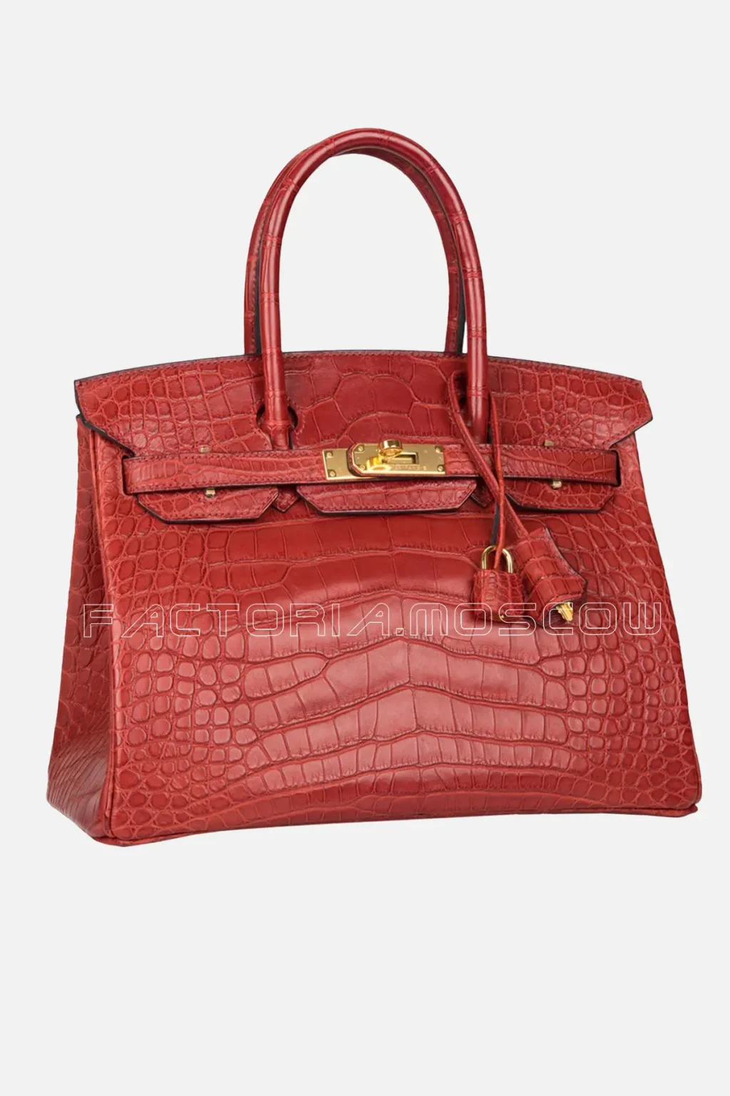 Matte Alligator