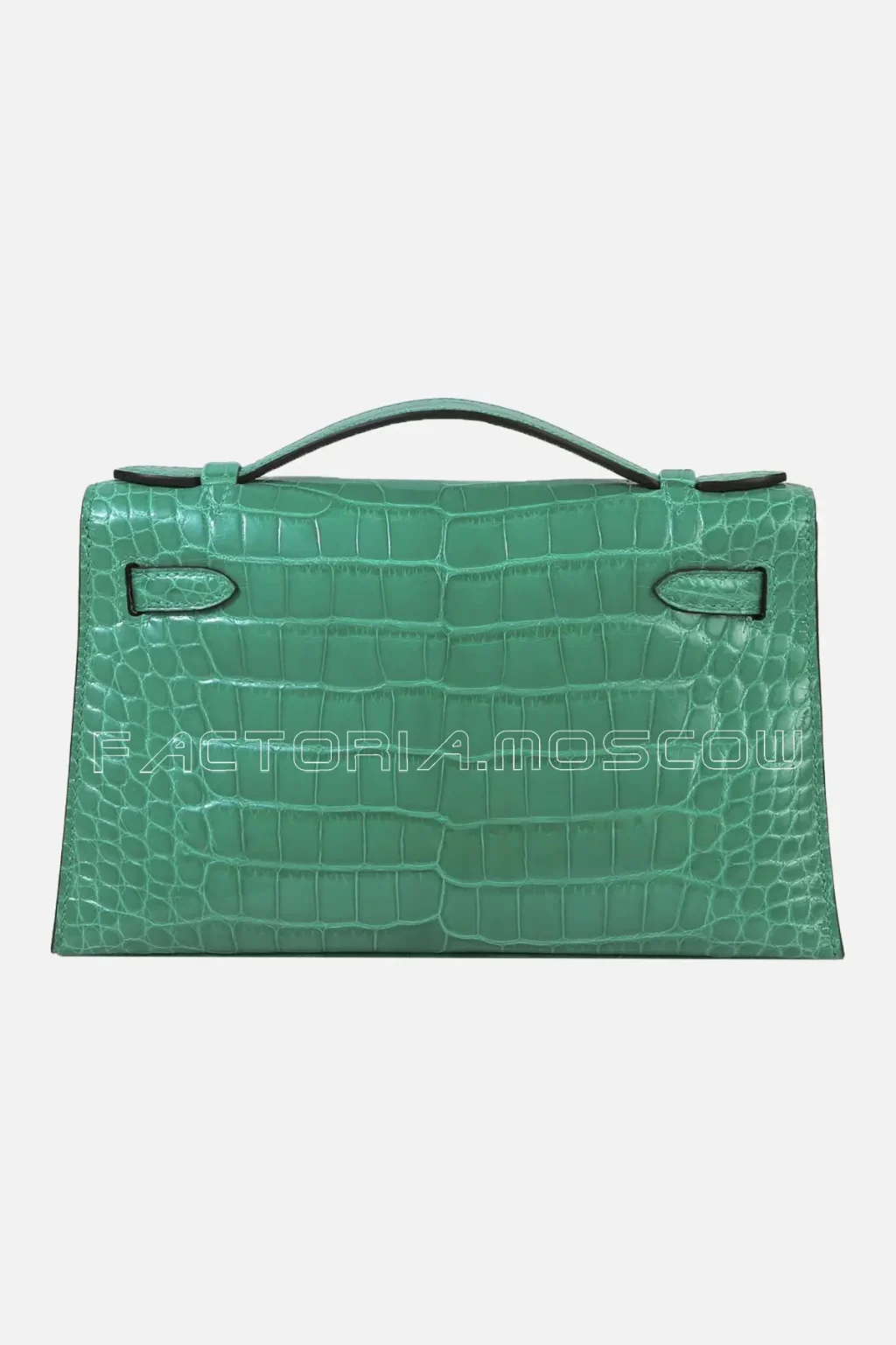 Crocodile Alligator